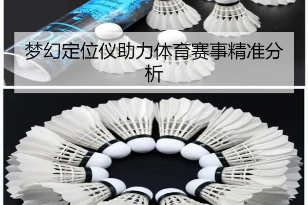 梦幻定位仪助力体育赛事精准分析