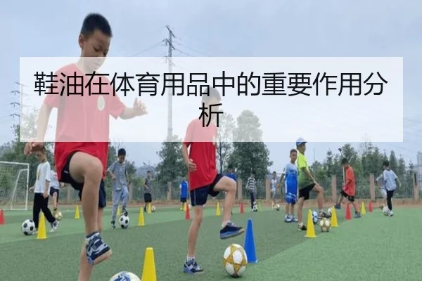 鞋油在体育用品中的重要作用分析